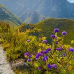 activity-fernkloof-hero