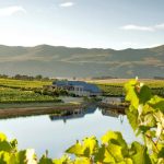 hop-on-hop-off-hermanus